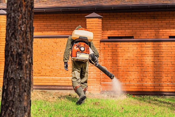 Bed Bug Clearance Verification and Documentation in Calcium